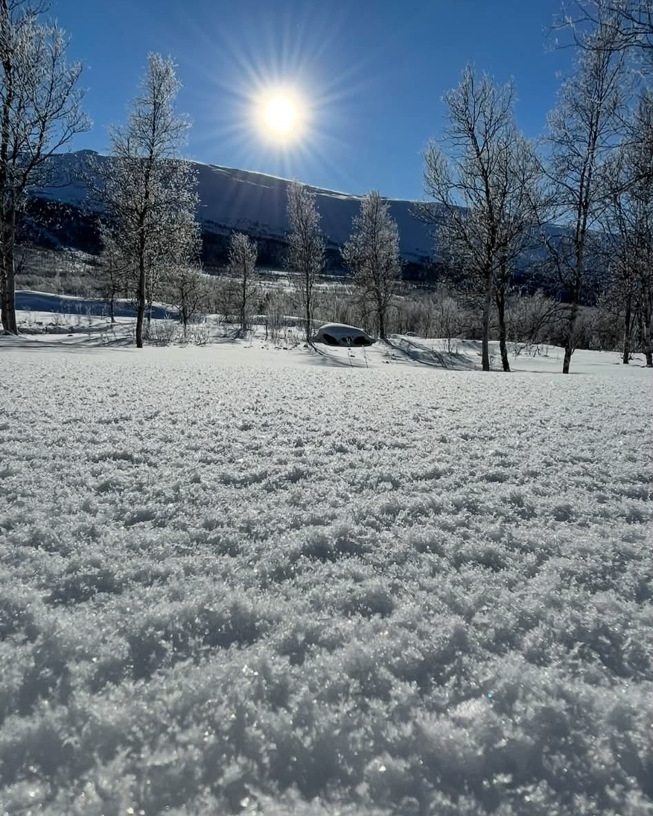 Snødekt landskap med solglans, trær og bil parkert foran fjell i klar vinterdag.